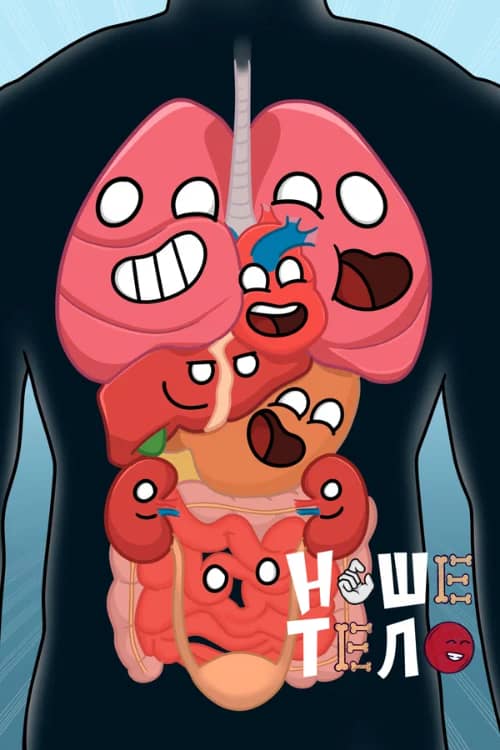 Постер Наше тело