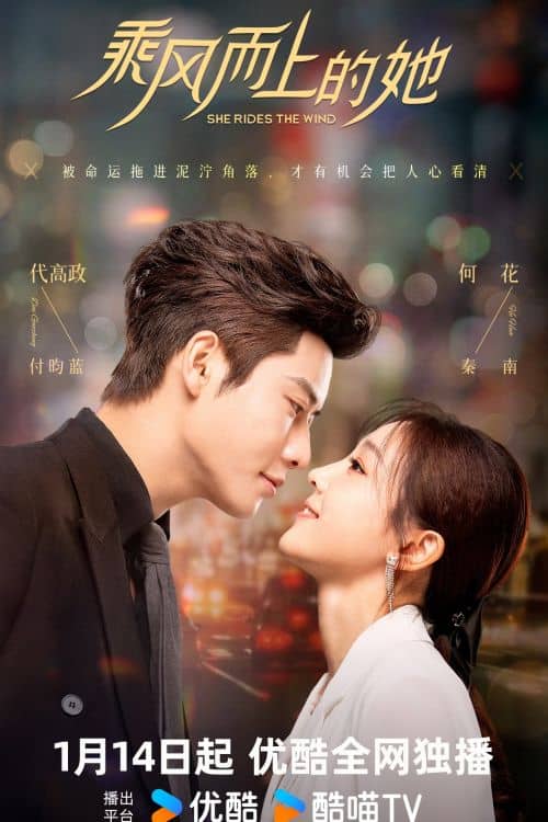 Постер Покорившая воздух